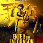 enter the fat dragon movie review1
