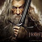 der hobbit 2 dvd4