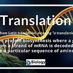 what is translation in biology2