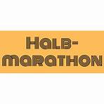 halbmarathon trainingsplan 1:304