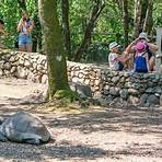 schildkrötenpark ajaccio1