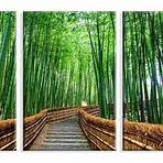 cerca de bambu para jardim1