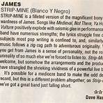 Strip-Mine James (band)4