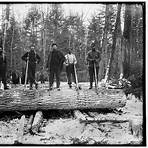 History of the lumber industry in the United States2