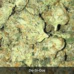 what is a do-si-dos cannabis strain review guide chart5