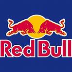 when did red bull come out with flavors list1