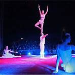 State School of Circus and Variety Arts3