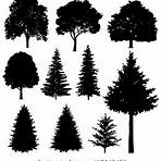 greg gransden photo images 2019 2018 free printable images evergreen silhouette patterns2