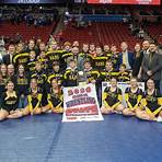 boys state wrestling tournament iowa3