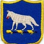 michigan army national guard patch coyote3