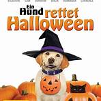 Ein Hund rettet Halloween Film2