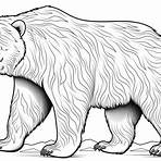 urso pardo desenho para colorir2