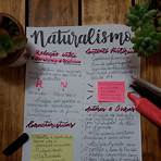 mapa mental naturalismo literatura2