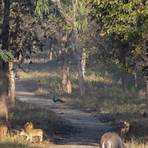 rajaji national park safari booking4
