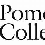 pomona college gate steel design guide3