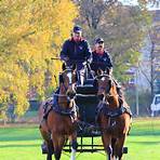 polizei bern reitschule4