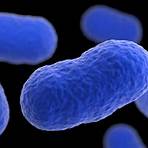 What is Listeria and why is it dangerous?3