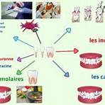 les dents ce14