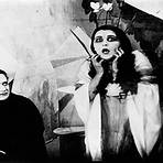 Nosferatu: A Symphony of Horror Film2