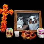 altar de muertos para mascotas2