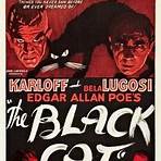 the black cat movie4