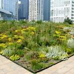 is the chicago city hall greenroof open hours today3