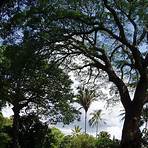 laniakea beach5