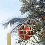 weihnachtsbaum nadeln tabelle5