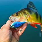 best bass fishing lures for ponds1