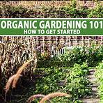 organic gardening for beginners1