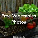 file jan file photo show vegetable photo1