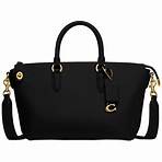 satchel purse2