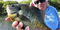 How to Fish a Crappie Magic!