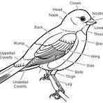 ornithology science olympiad list1