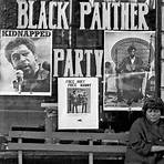 The Black Panthers1
