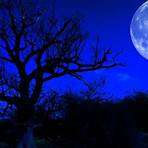 Blue Moon4