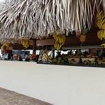 How many photos of Punta Cana are on TripAdvisor?1
