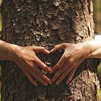 l'albero della vita significato simbolico4