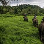 tempat konservasi hewan langka di indonesia2