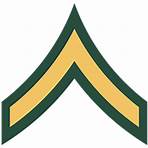 what is an insignia in the army definition2