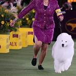 westminster kennel club breeds of dogs4