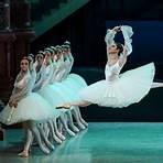 The Bolshoi Ballet: Live From Moscow - La Bayadère4