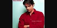 "Over the Rainbow" by Harry Connick, Jr.