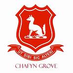 Chafyn Grove School2