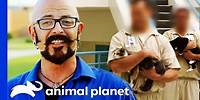 Animal Program Saves Hundreds Of Lives In This Prison | My Cat From Hell
