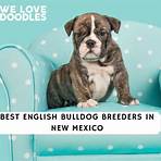 santa fe county new mexico wikipedia in english bulldogs live3