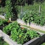 Organic Gardening: The Whole Story1