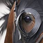 charles carroll horse racing1