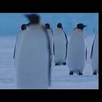 Die Reise der Pinguine 2 Film2
