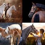 fotoshooting mit pferd3